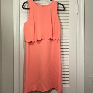 Size 6 Ann Taylor Loft light pink/peach professional dress